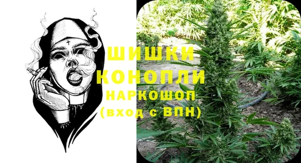 крисы Осинники