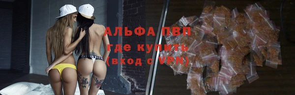 тгк Пестово