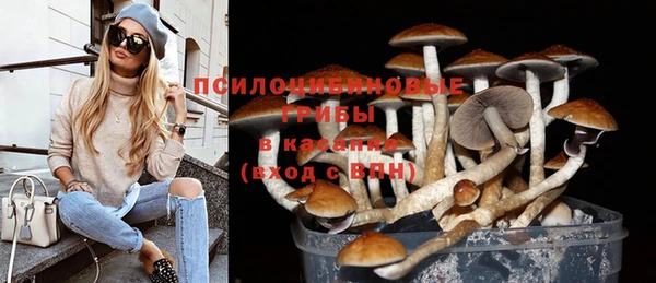 стаф Яровое