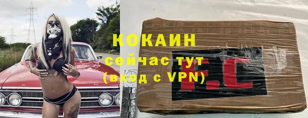 крисы Осинники