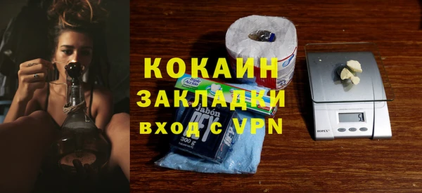 крисы Осинники