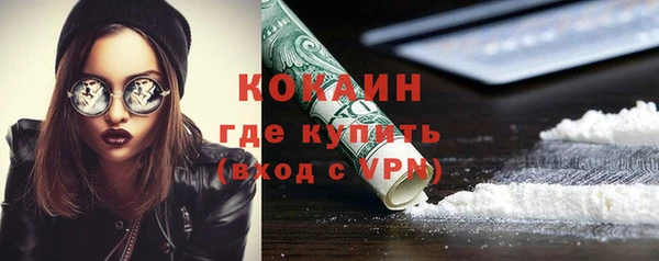крисы Осинники