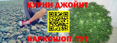 шишки Берёзовский