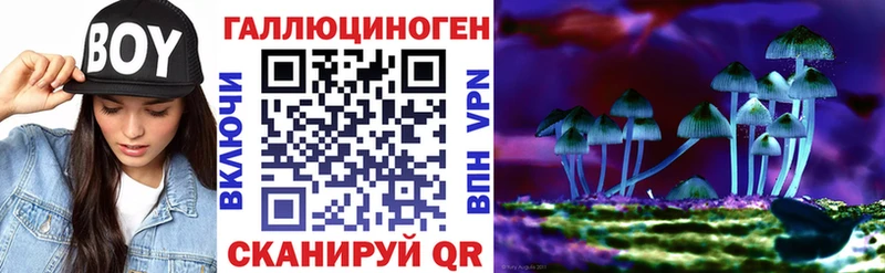 Галлюциногенные грибы Psilocybe  Борзя 
