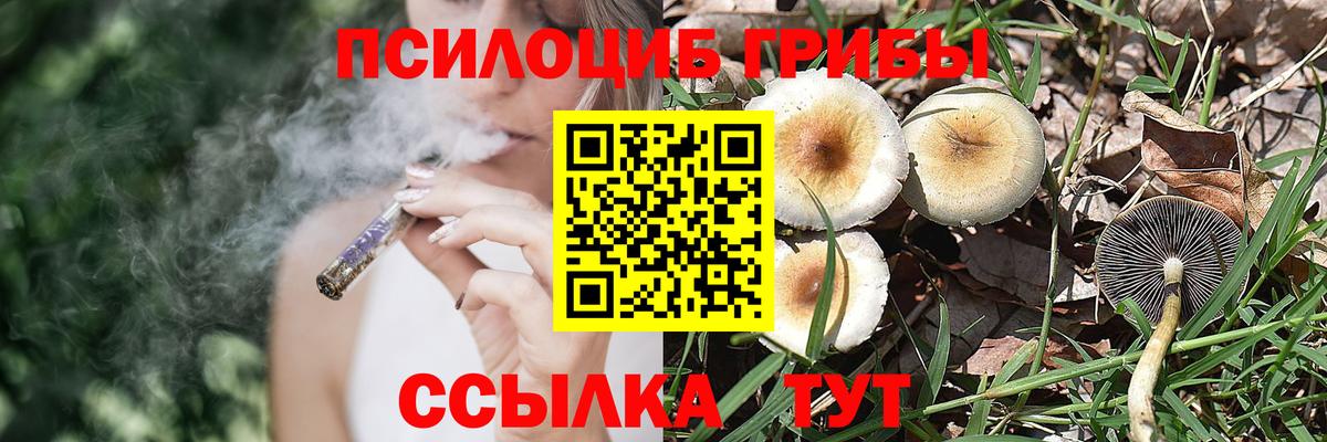 Псилоцибиновые грибы прущие грибы Борзя