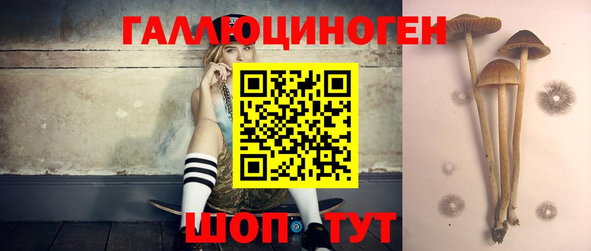 Галлюциногенные грибы мицелий  где можно купить наркотик  Борзя 