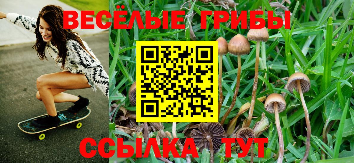 Галлюциногенные грибы ЛСД Борзя