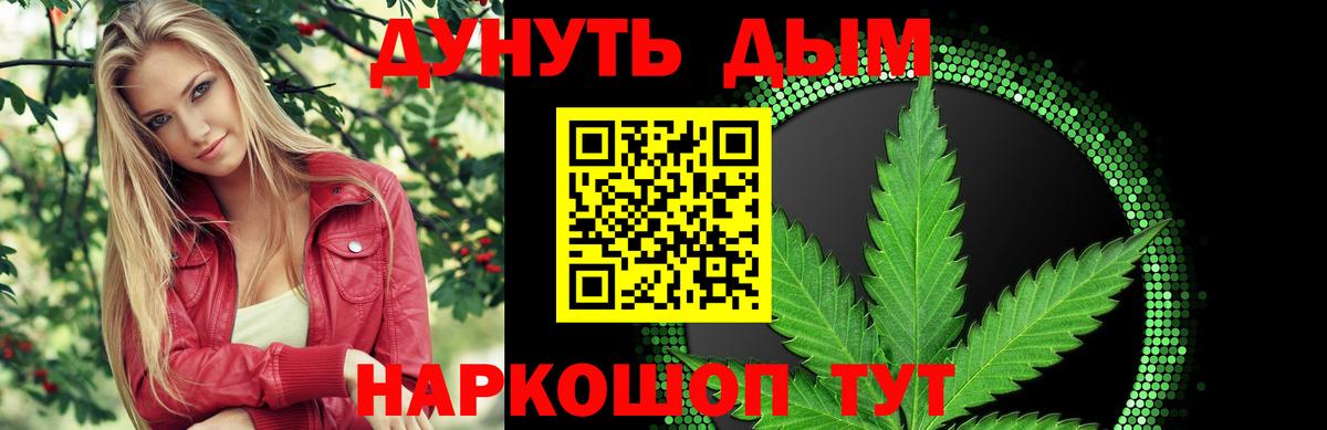 Конопля сатива  МАРИХУАНА план  Борзя  Каннабис VHQ  Вход с VPN 